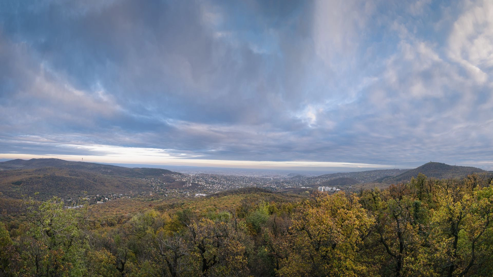 Egy év alatt 2,5 millió fát kapott Budapest és környéke