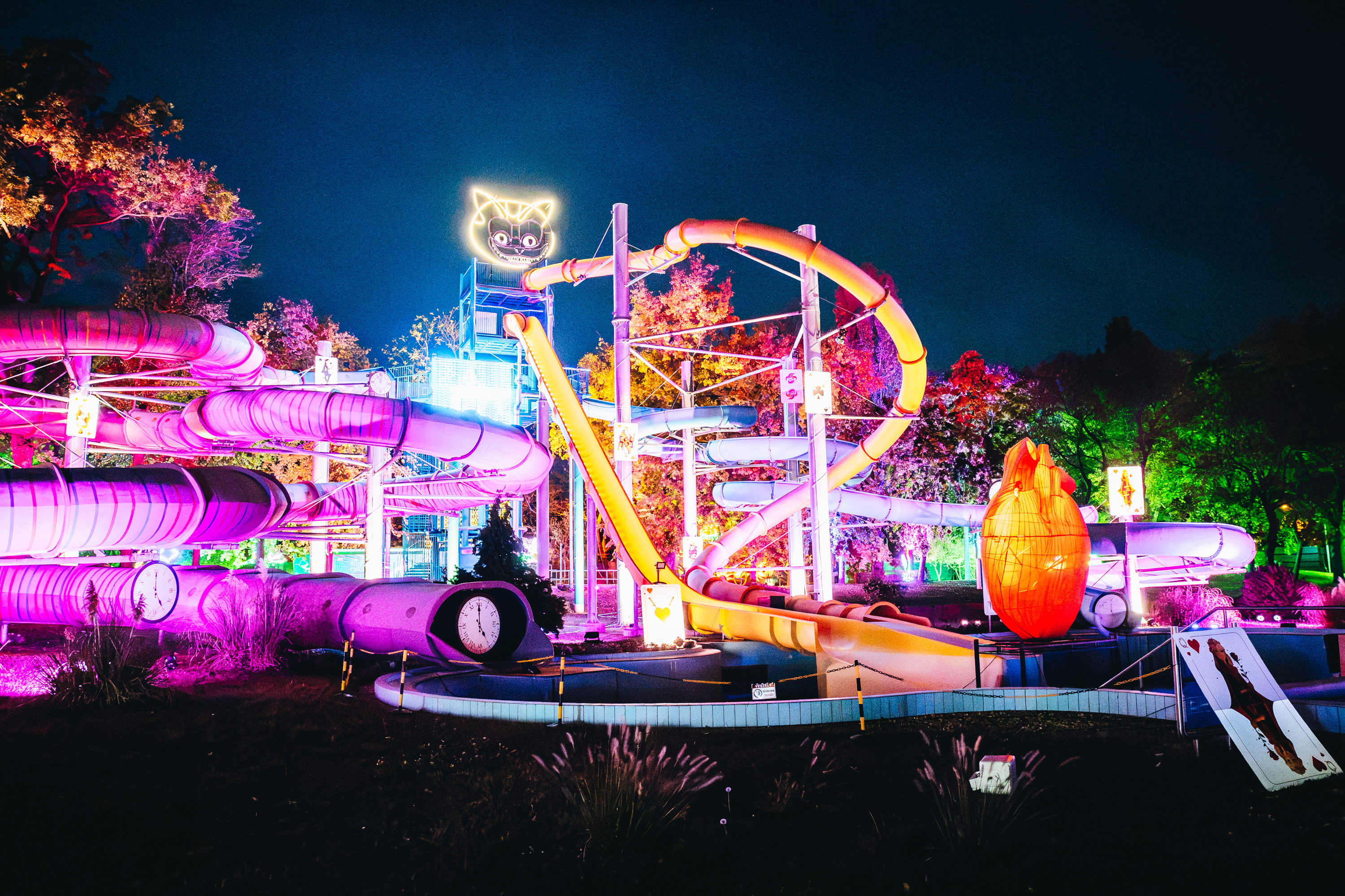 Lumina Park 2026