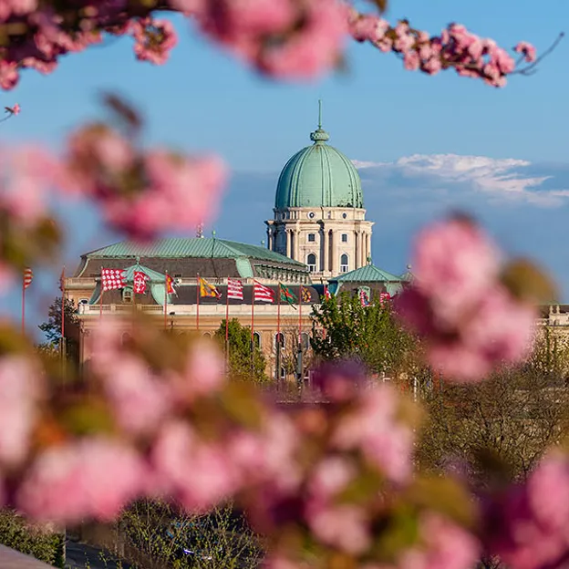 „Kicsit bevállalósabb lesz idén, de ez nem baj” –  hamarosan indul a 43. Budapesti Tavaszi Fesztivál