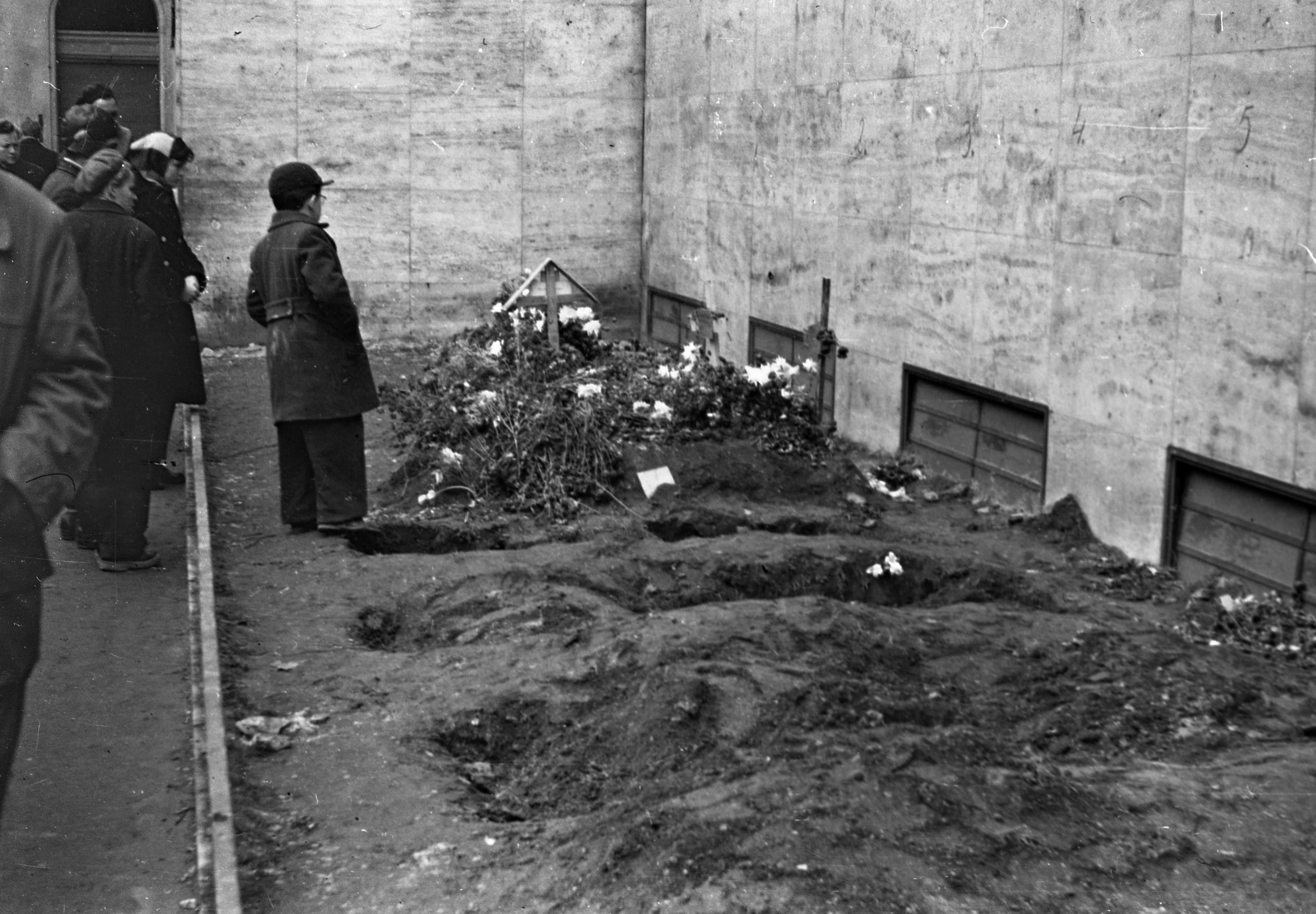 Dob utca 1956