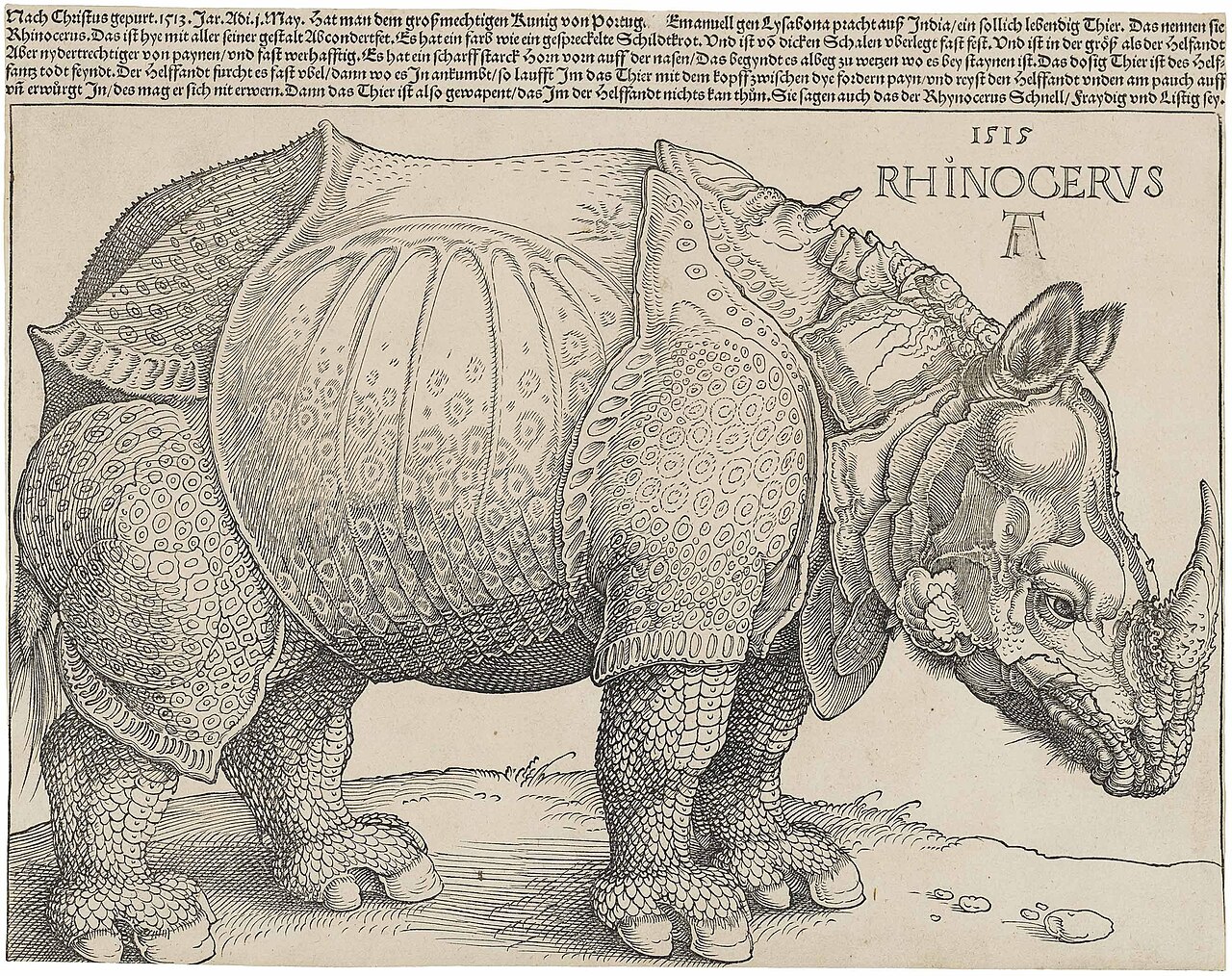 Dürer