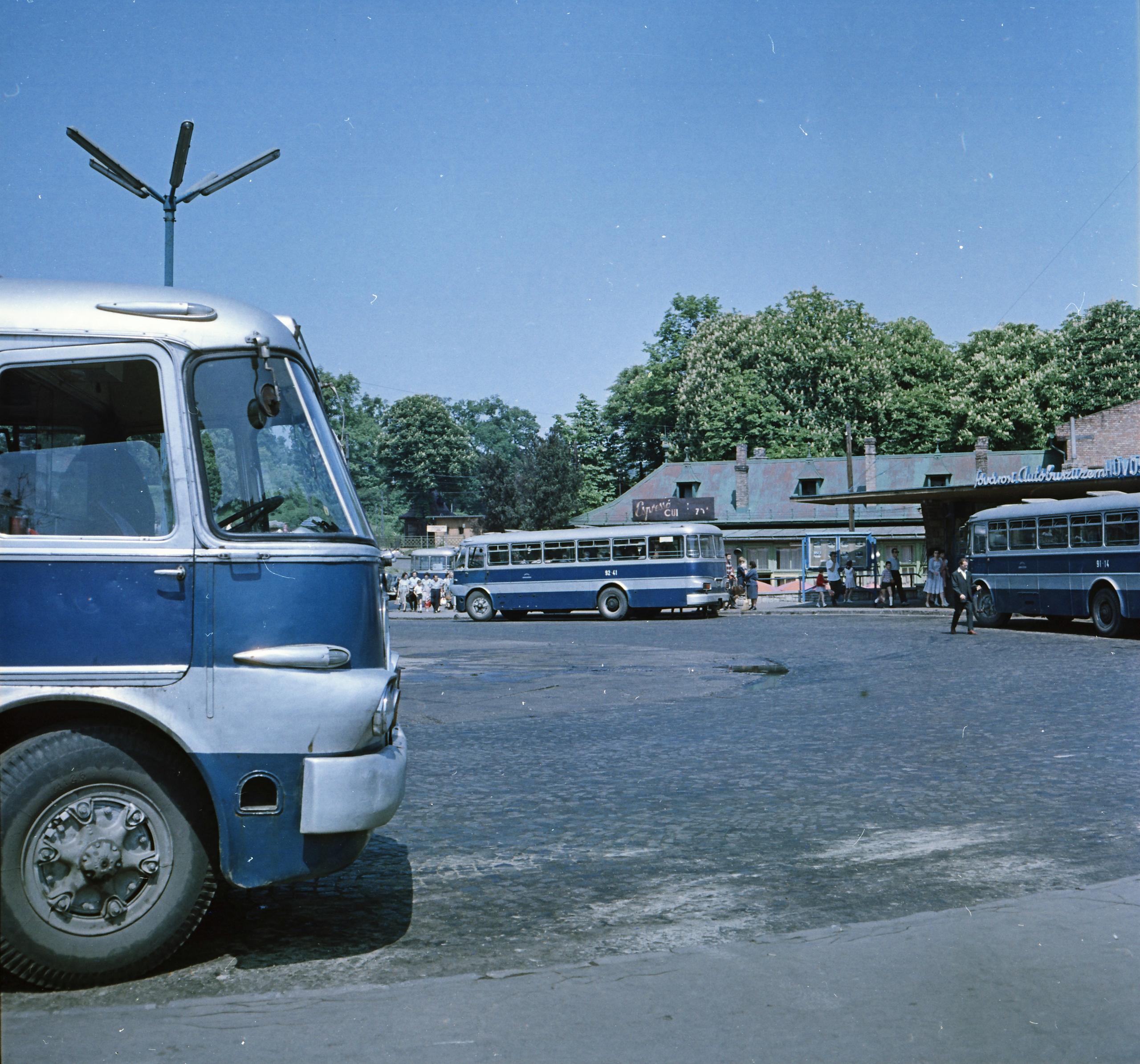 Hűvösvölgy népkert buszvégállomás