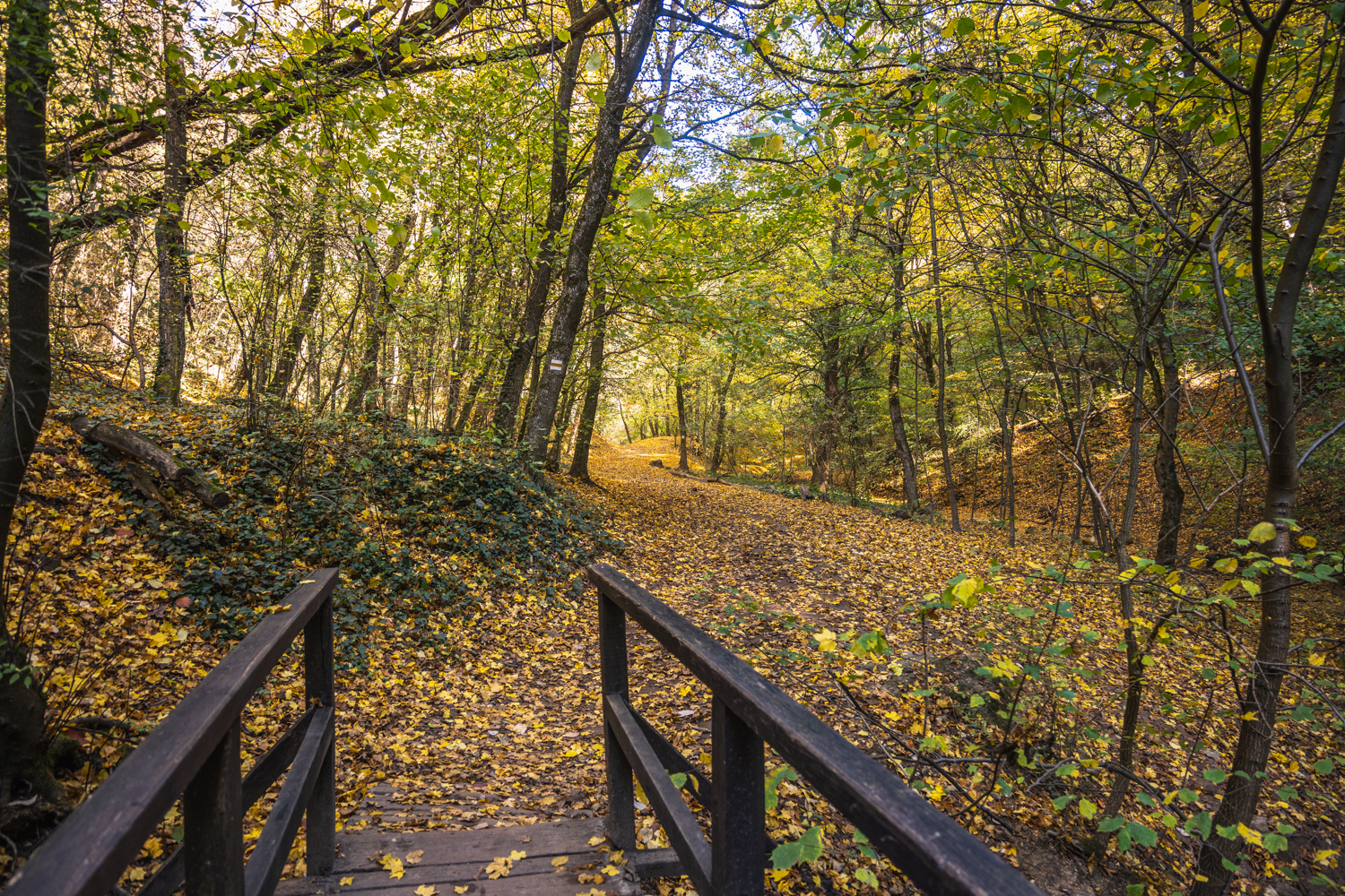 Alsó-Jegenye-völgy