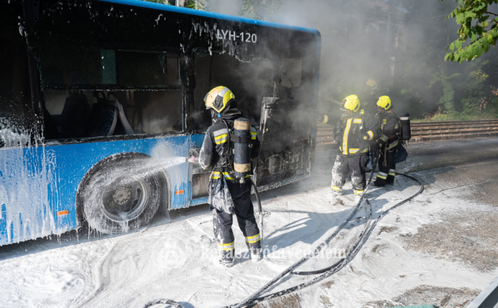 Busz