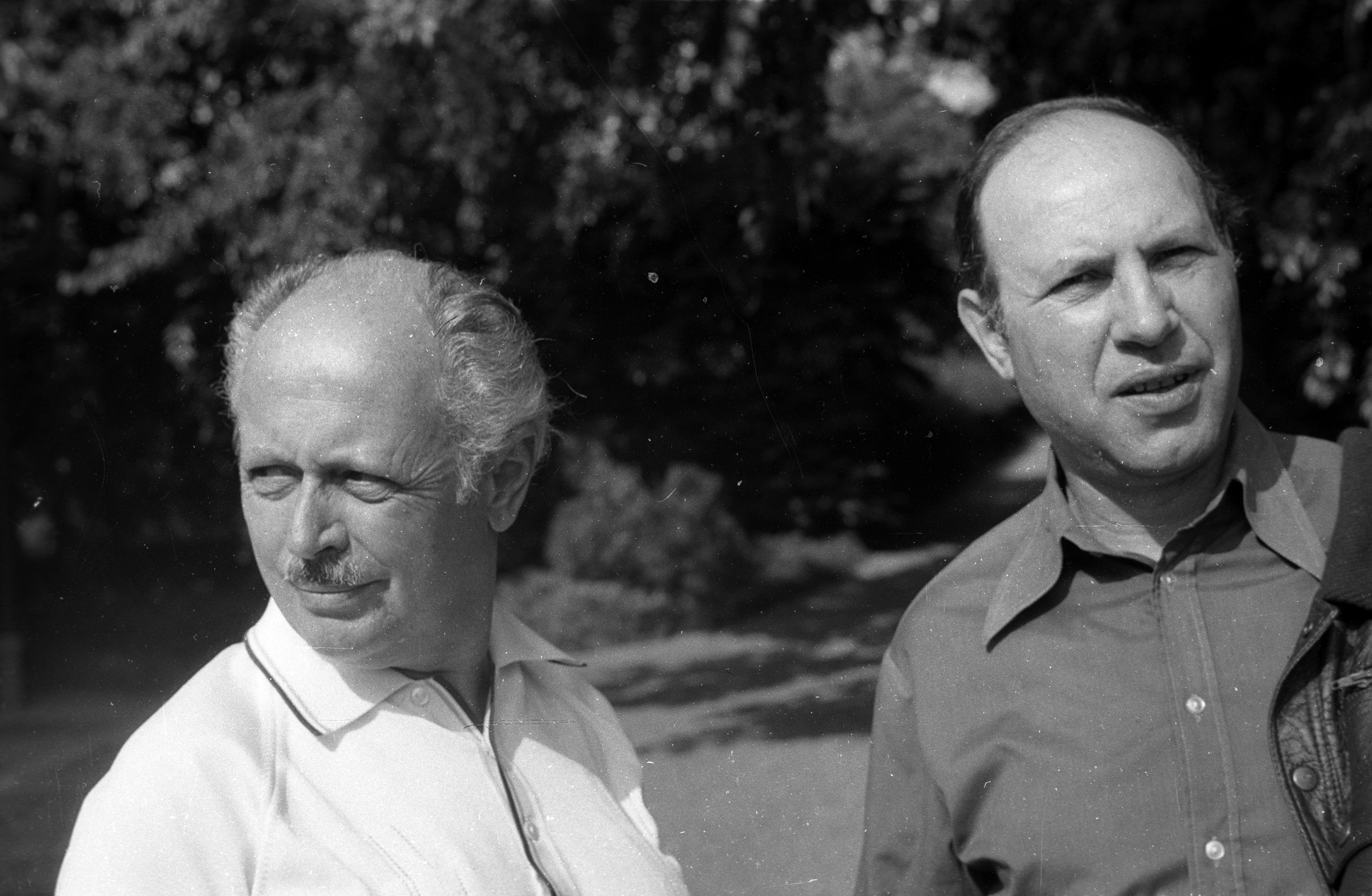 Kertész