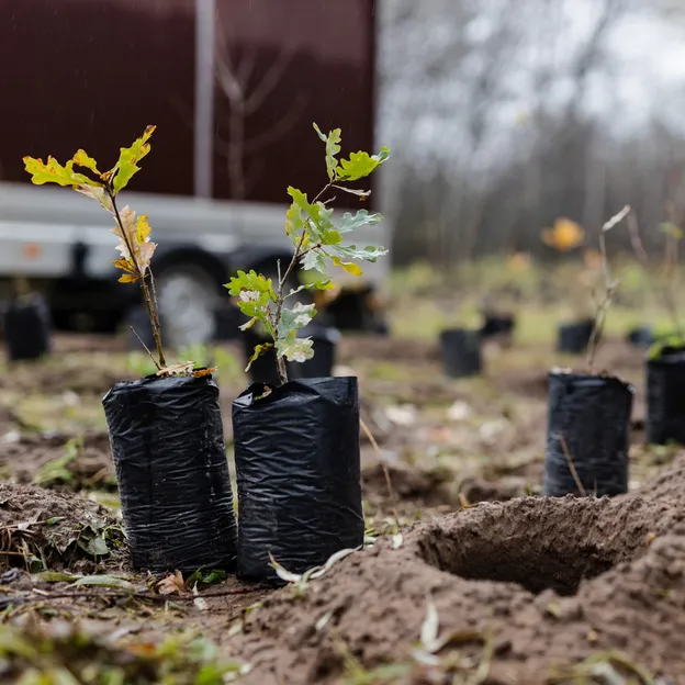 Indul az ültetési szezon, több mint 1200 fával gazdagodik Budapest