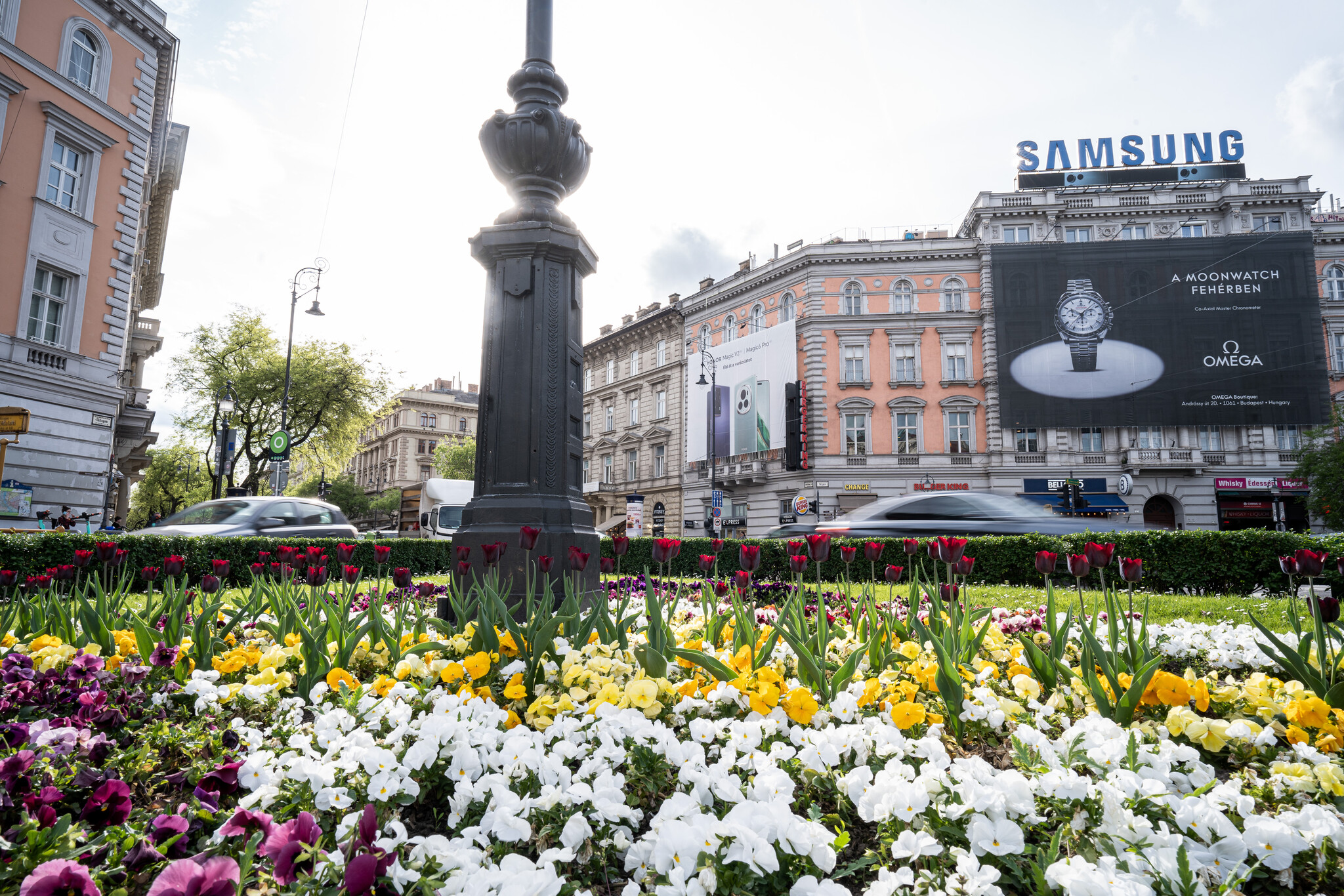 2024.04.05. Tavaszi virágzás Budapesten