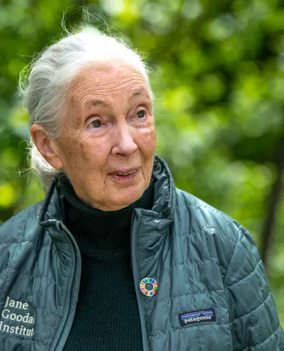 Csak együtt tudjuk megmenteni a bolygónkat  – Jane Goodall lehengerlő előadásán jártunk