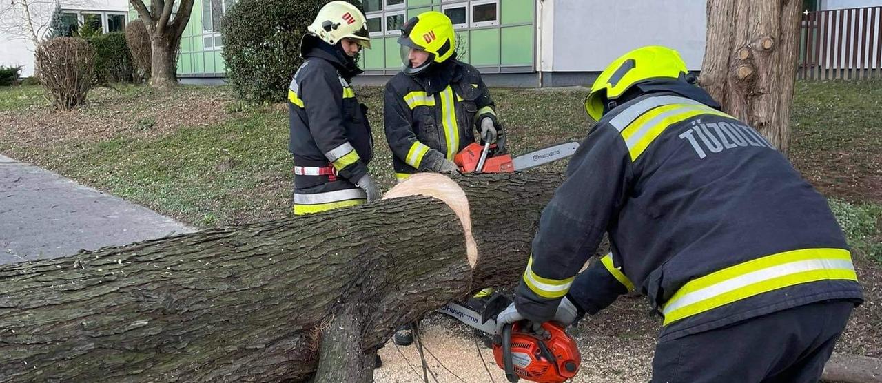 tűzoltók úttestre dőlt fát darabolnak