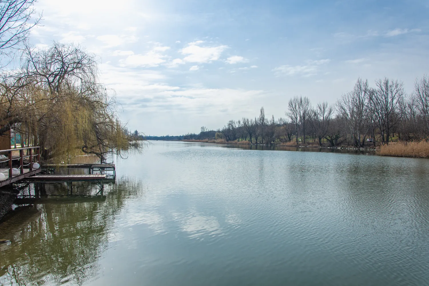 Fotó: Bartha Dorka