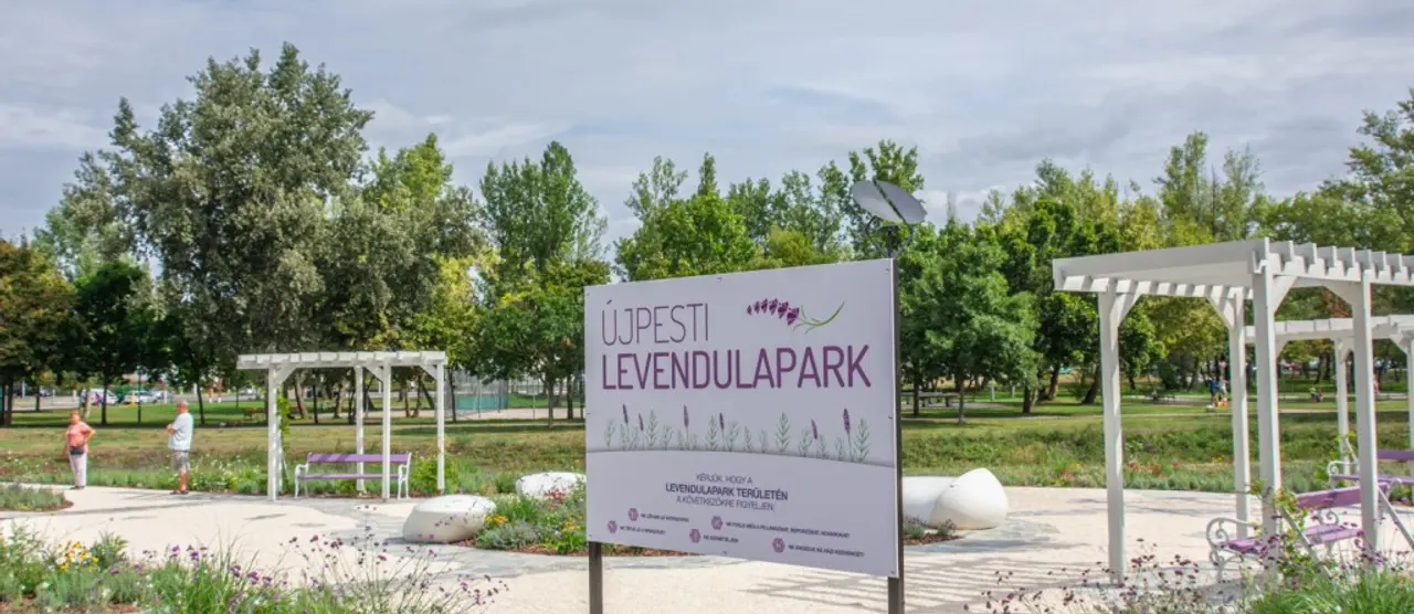 Újpesti levendulapark táblája