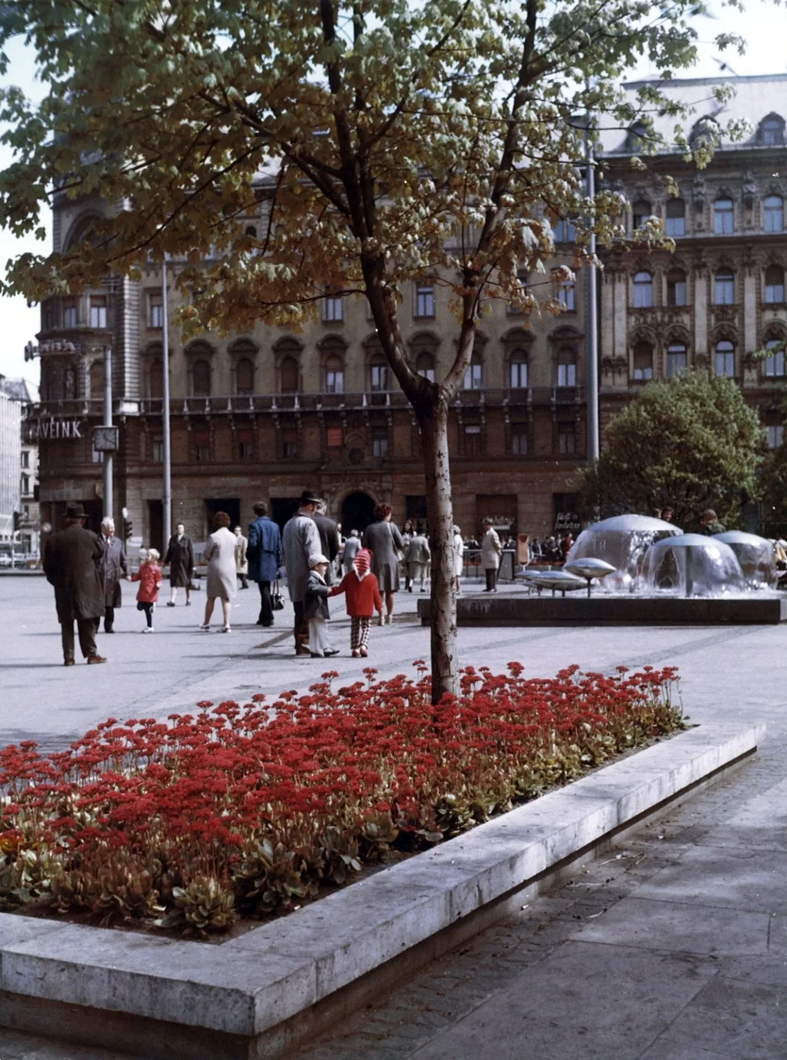 Szökőkút, virágágyás: 1969-es helyzet. Fortepan/ Hlatky Katalin-Főkert