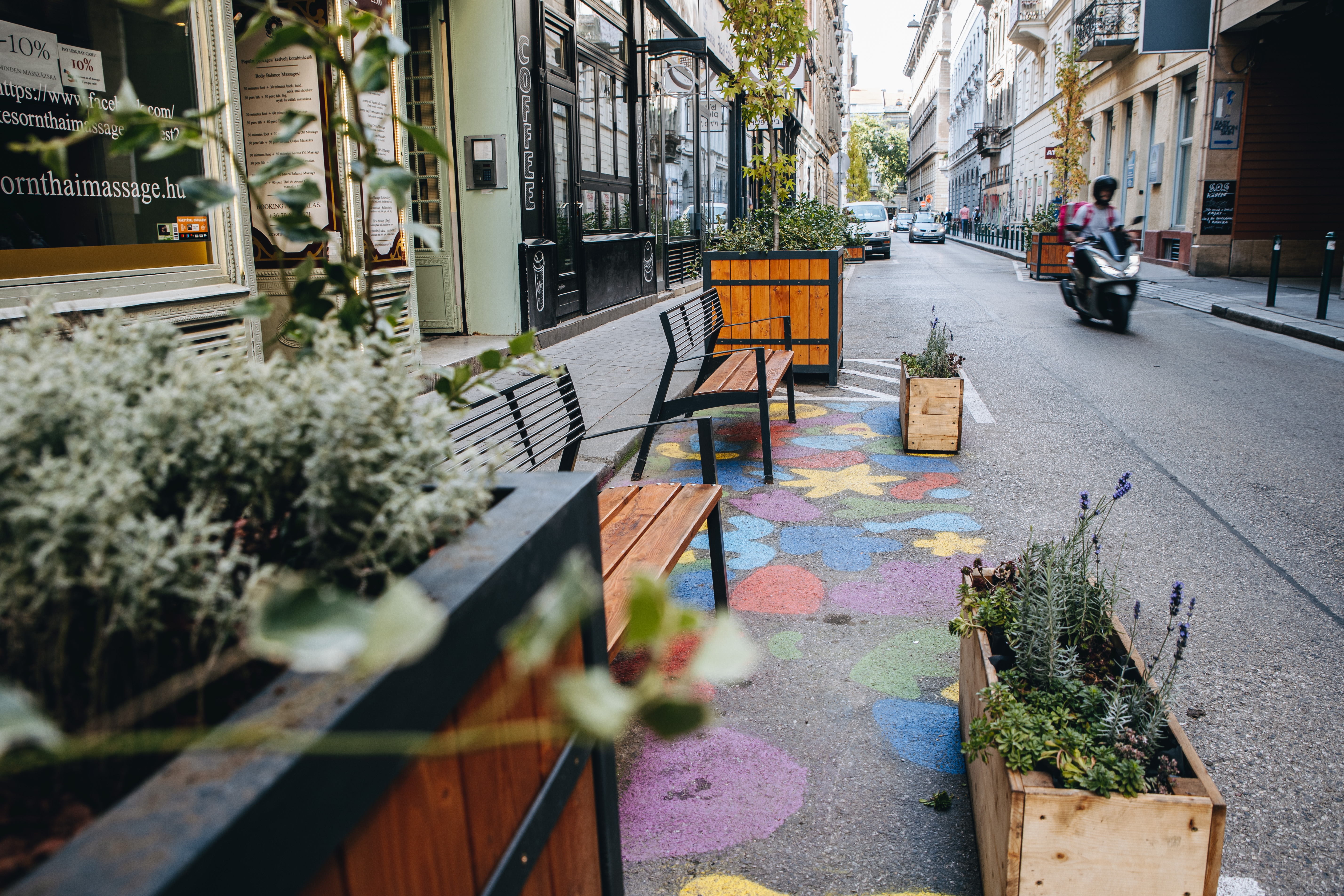 Ámbrafák, levendulák, parklet – zöldebb és élhetőbb lett a Székely Mihály utca 