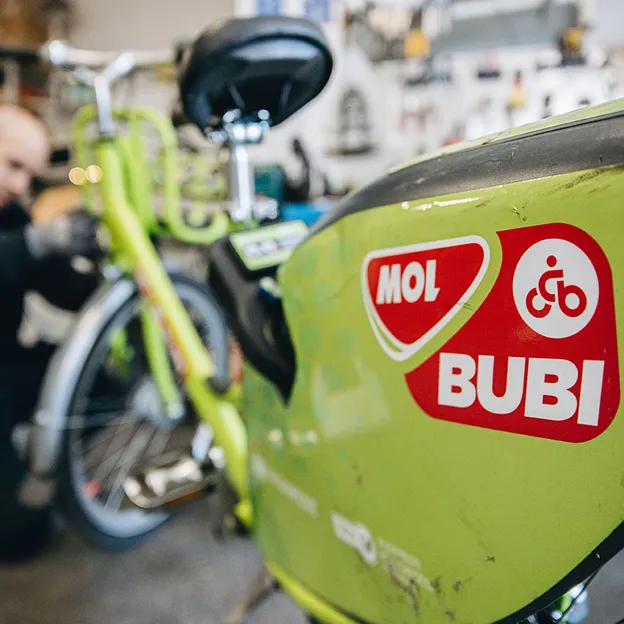 Csekkolórutin a Bubivilágban - amit mindig tudni akartál a zöld bringáról
