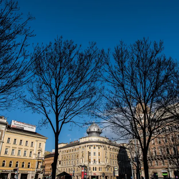 Mennyibe kerül egy fa ültetése Budapesten?
